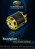 SCORPION HKII-7050-330KV MOTOR