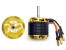 scorpion-hkii-4225-810kv-limited-edition-2022.jpg