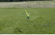 neXt CGM RC Heli Flugsimulator (DVD)