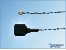 lipowatch-piepser-small.jpg