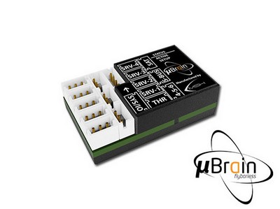 msh51621.jpg msh51621.jpg