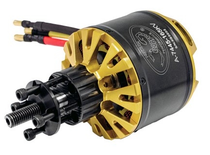 scorpion-a-7445-165.jpg scorpion-a-7445-165.jpg